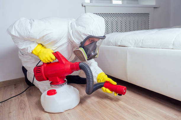 Best Termite Control Services  in West Sacramento, CA