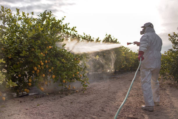 Best Cockroach Control Services  in West Sacramento, CA