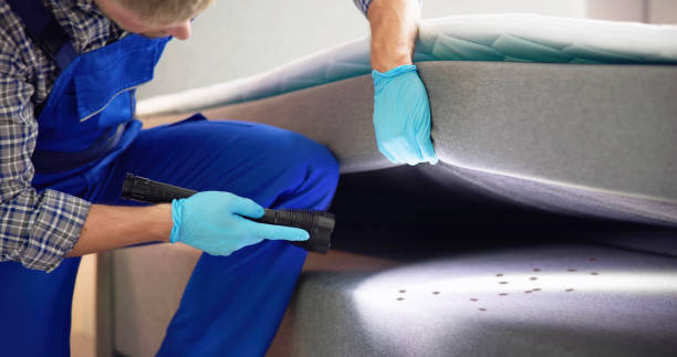 Best Best Pest Control Companies  in West Sacramento, CA
