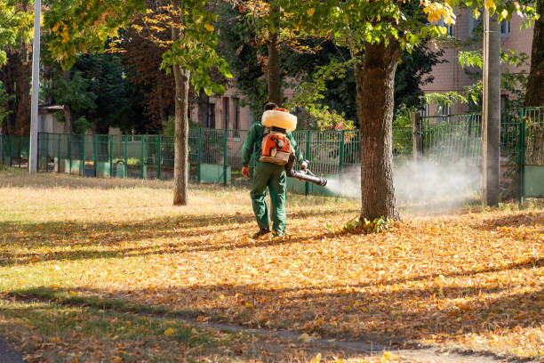 Wildlife Control Services in West Sacramento, CA