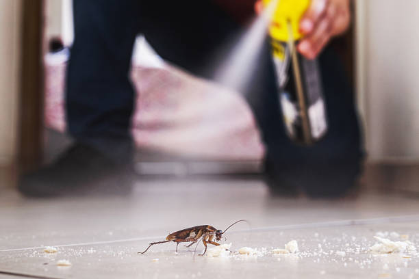 Best Mosquito Control Services  in West Sacramento, CA