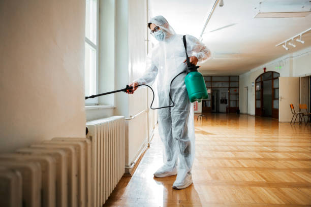 Best Local Pest Control Services  in West Sacramento, CA