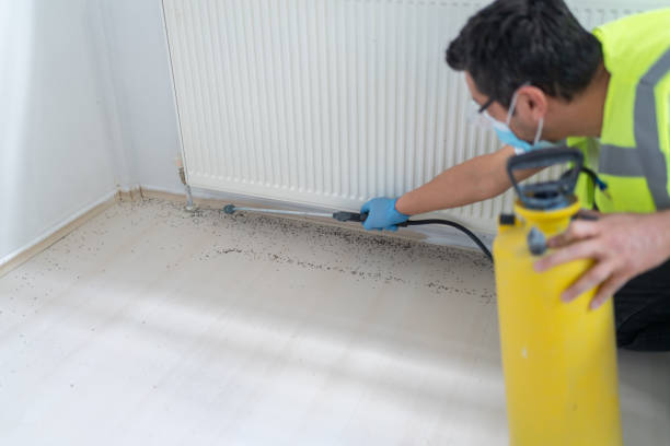 Best Cockroach Control Services  in West Sacramento, CA