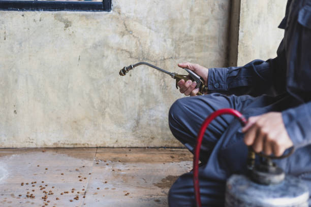 Best Pest Prevention Services  in West Sacramento, CA